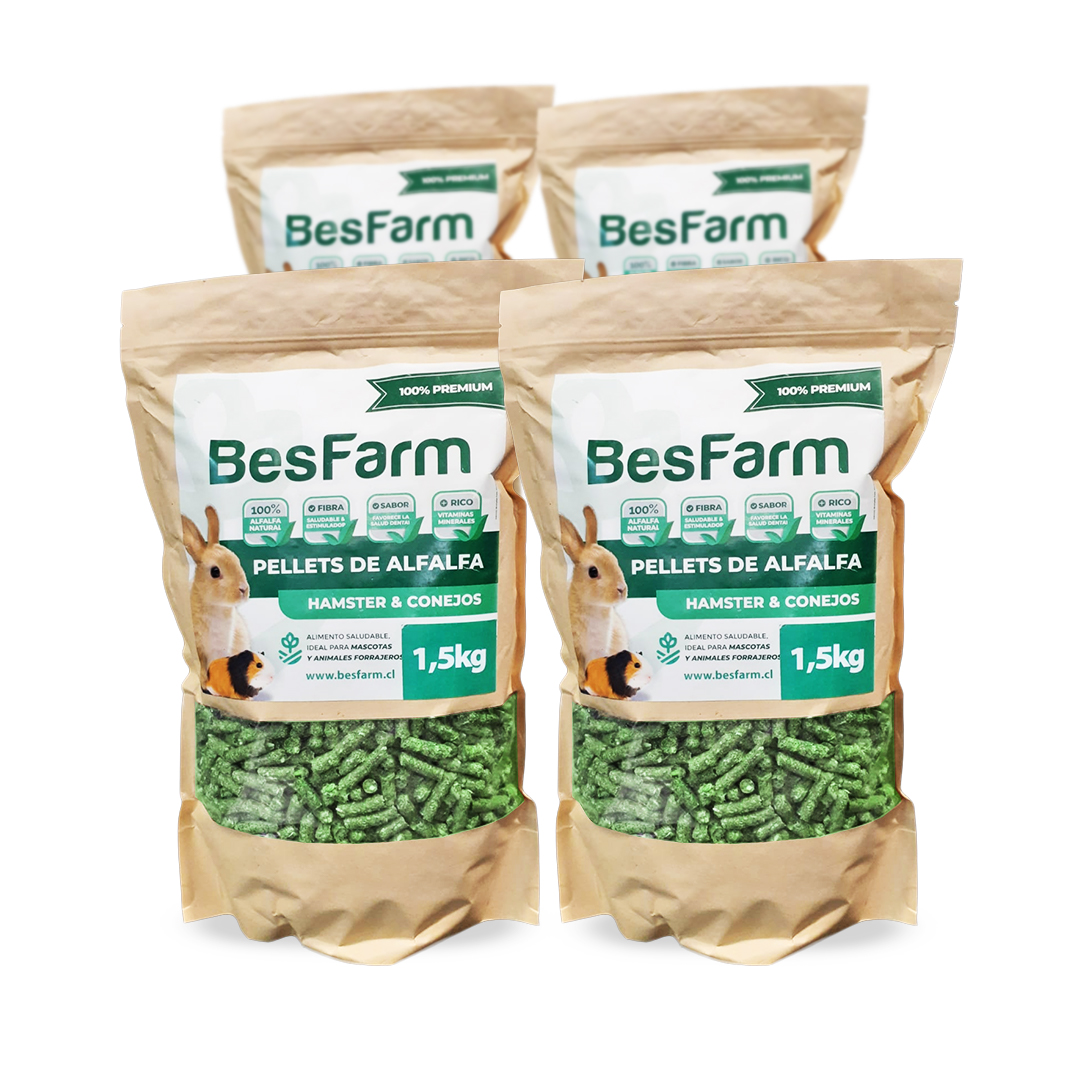 Pack Pellets de Alfalfa Premium (6kg) Besfarm Alimento para mascotas